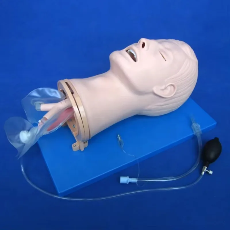 

unique Multi-functional Airway Management Model,Intubation and Suction Training Simulator