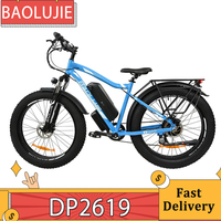 BAOLUJIE DP2619 Electric Bike 26*4.0 inch Fat Tire 750W Motor EBike 48V 13Ah Battery 45km/h Max Speed 45km Max Range LCD Display