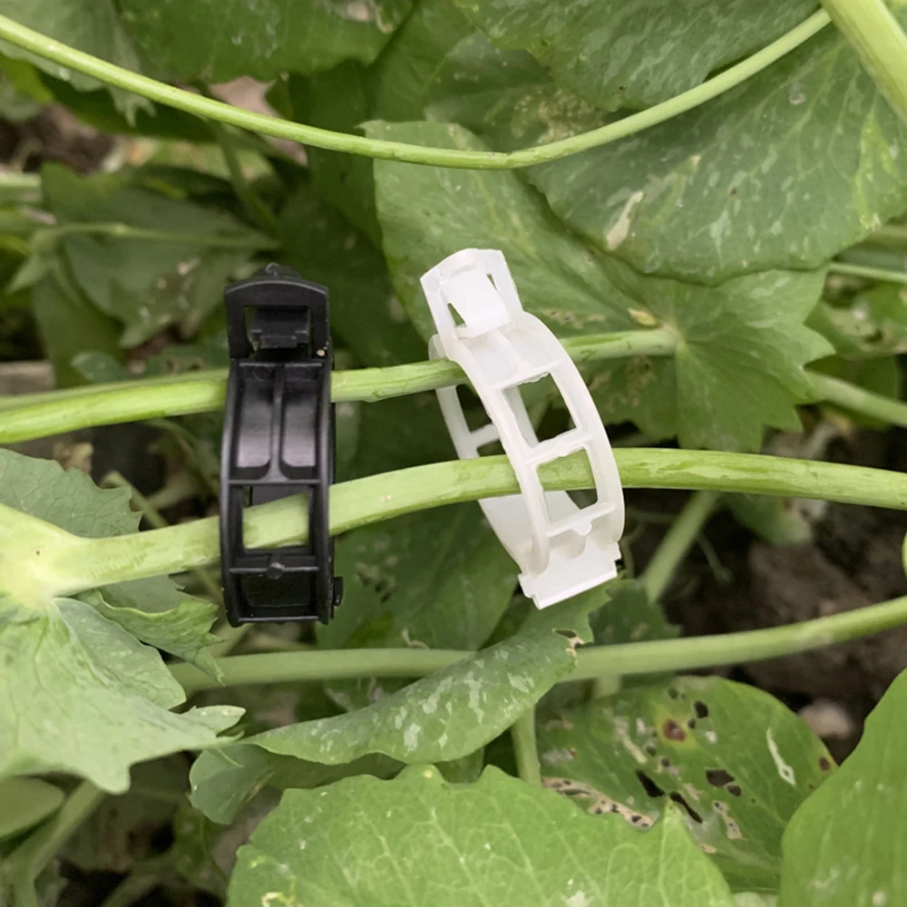 Thickened Plastic plant Support Clips Reusable Plant Vine Protection Grafting Fixing Tool For Vegetable Tomato Garden Supplies