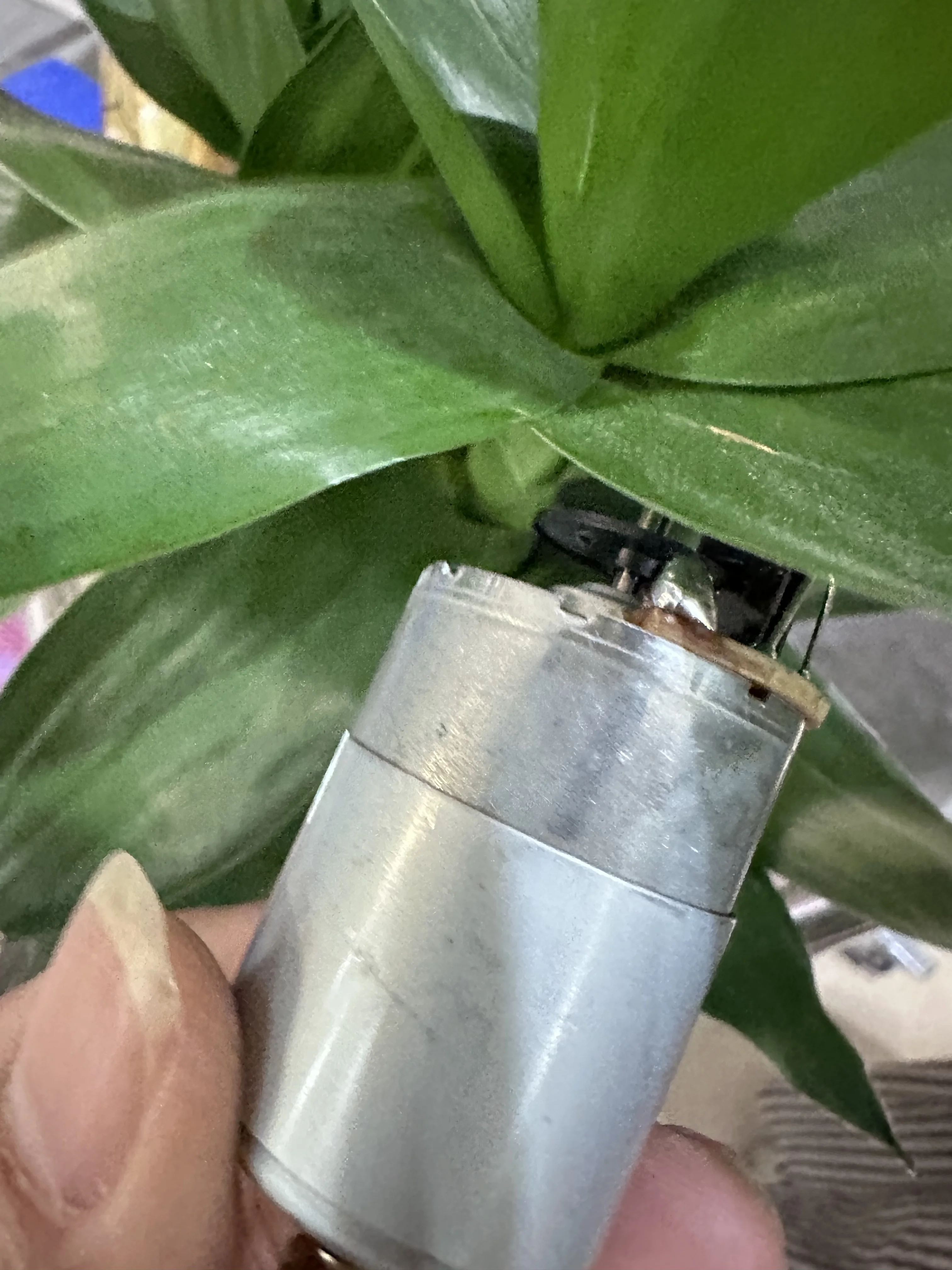 

Q6718-67017 Двигатель звездного колеса для HP Designjet T610 T620 T770 T790 T795 T1100 T1200 T2300 Z2100 Z3100 Z5200 Z5400 Q5669-60697