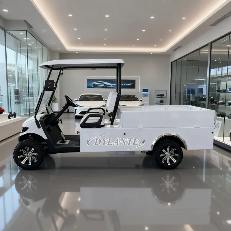 شريك حصري للألعاب الآسيوية 4 مقاعد لوحة طاقة شمسية عربة جولف كهربائية على الطرق الوعرة سيارة صيد عالمية المنتج الأكثر مبيعًا #2