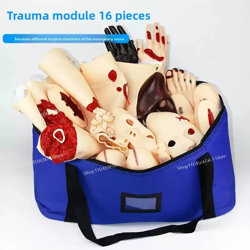 16 Pcs Trauma Evaluation Module Emergency Care  First Aid Simulation Model Teaching Equipment training model