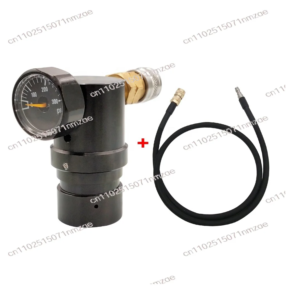 Low Pressure Gas Regulator 0-200 PSI - With Coupler & Hose