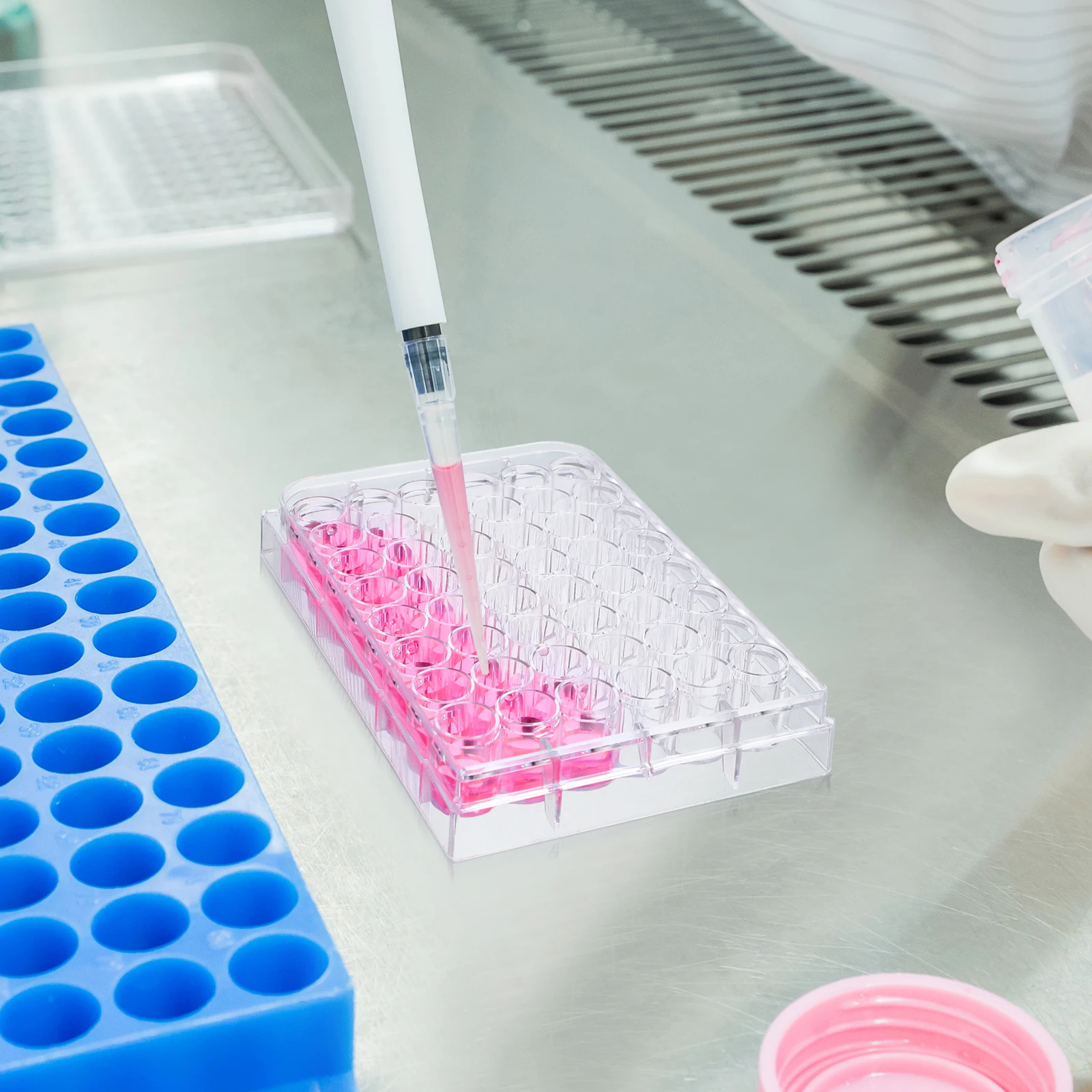 

48-well Culture Plate Transparent Cell Tissue Dish Lid Lab Container for 48 Stackable Polystyrene Tool Plastic