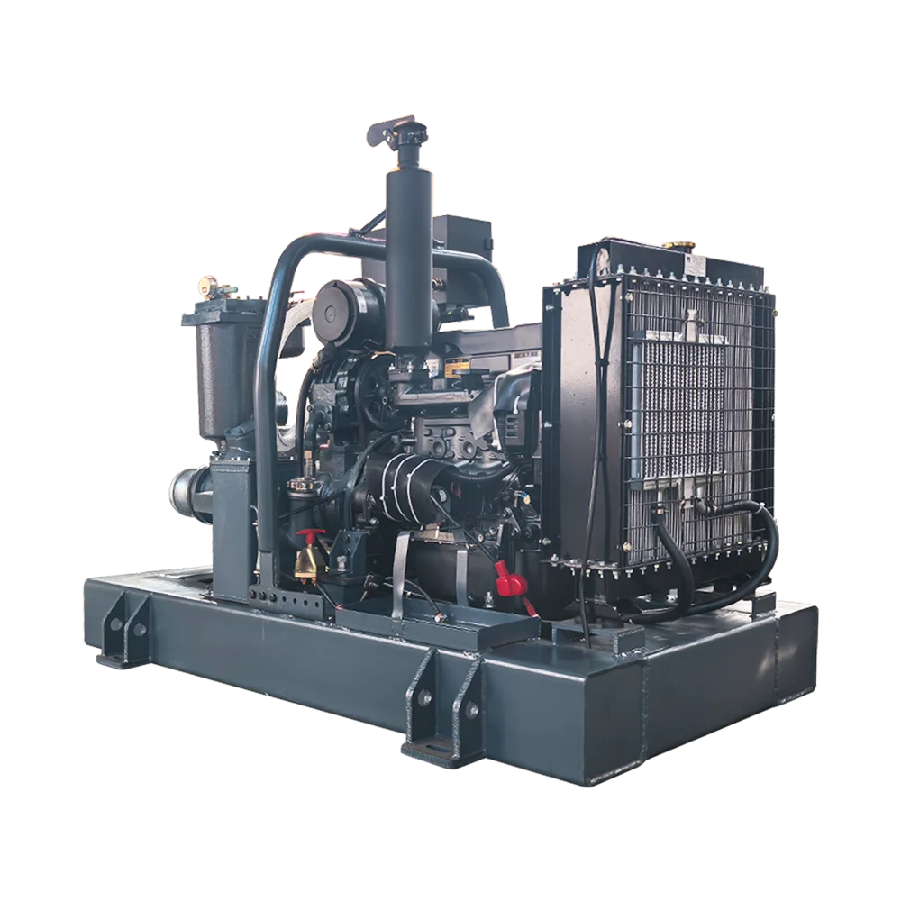 Pompa dell'acqua ad alta aspirazione per drenaggio minerario con generatore ad alto sollevamento a bassa energia