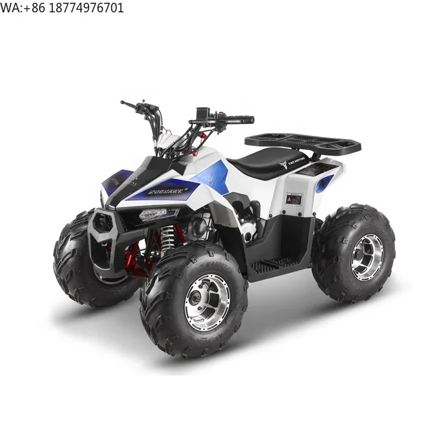 Tao Motor Chain Drive Quad ATV 110cc Mudhawk 110 with EPA ECE