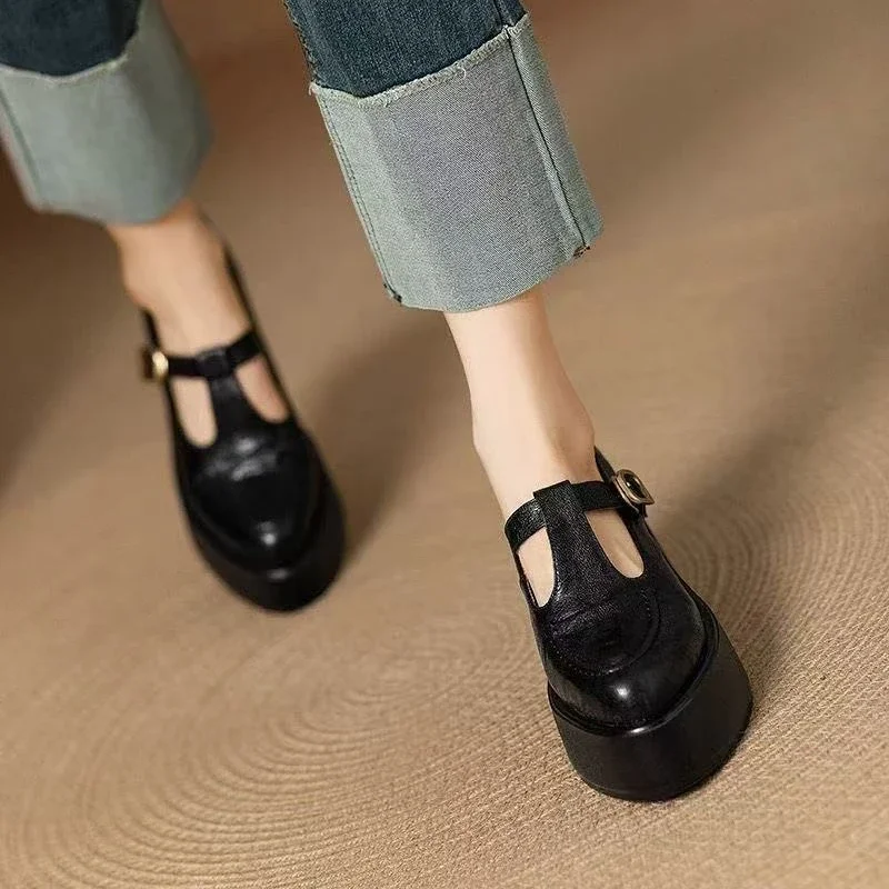 Chunky Platform High Heels Pumps Women Spring PU Leather Ankle Buckle Mary Jane Shoes Woman Brown Thick Heeled Sandals Loafers