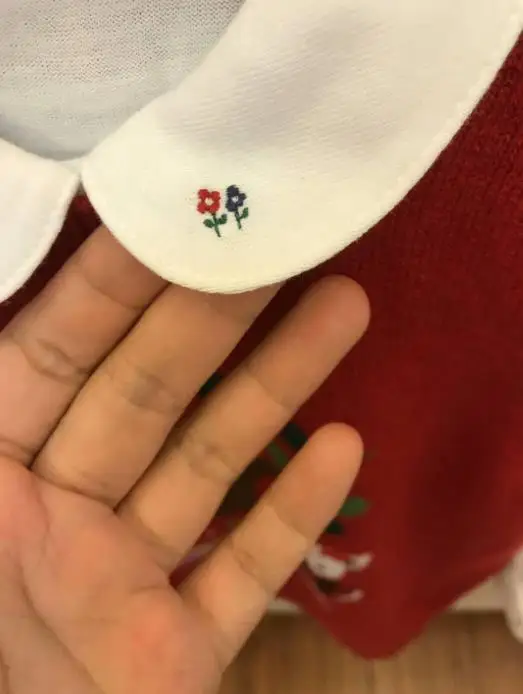 New children\'s three flowers embroidered long-sleeved shirt white cotton top girls classic