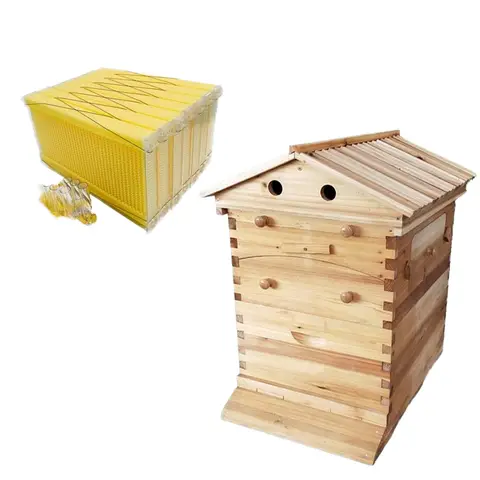 Alive automatique et 7 cadres automatiques, revêtement de cire de sapin de chine, boîtes d'apiculture à ruche auto-fluante pour extraire le miel
