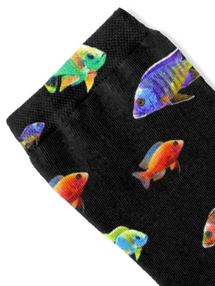 Cichlid Fish School African Cichlids Aquarium Keepers Breeders Gift Socks loose sheer moving stockings cycling Woman Socks Men's