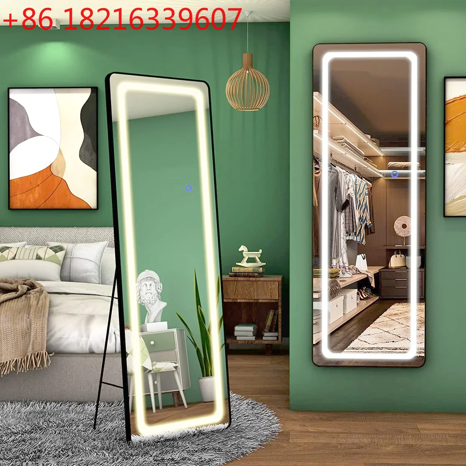 TAO Full Length Mirror Wall Mounted RGB LED Lights/LED Light/No LED Light Optional 63x20inch
