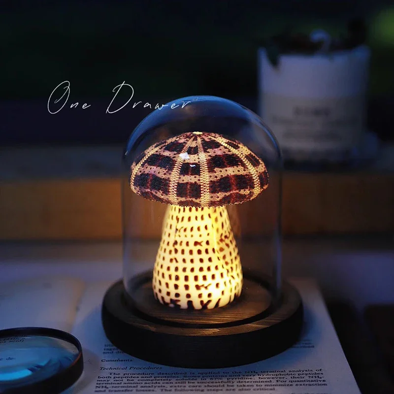

Shell Sea Urchin Lamp Study Desk Conch Decoration Ornament Indoor Bedside Night Light Handmade Diy Material Package Holiday Gift