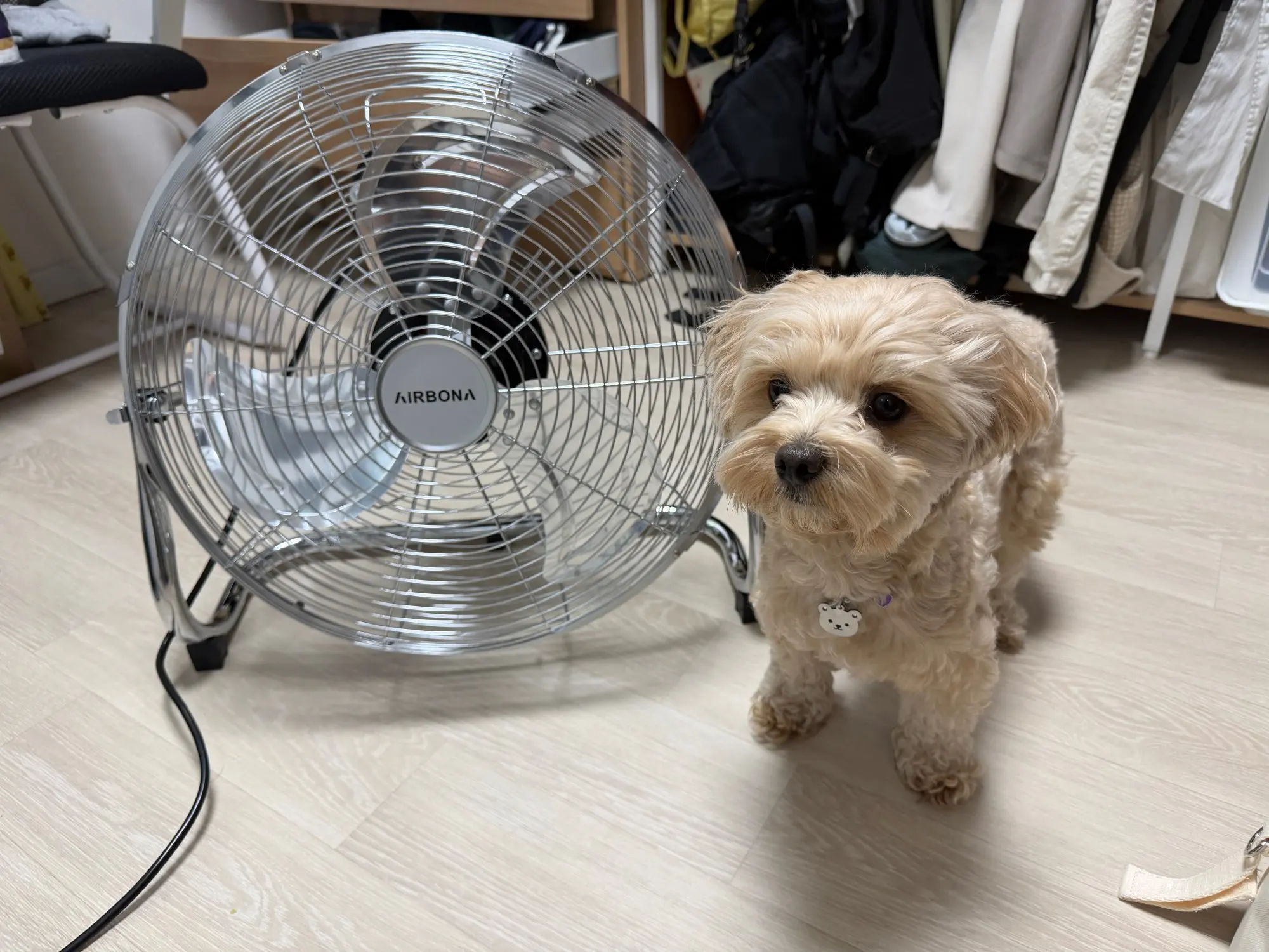 구매후기