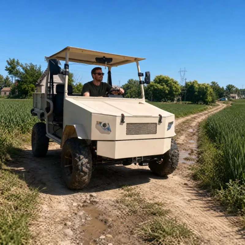 High Torque Gas Powered Farm UTV 4x4 All Terrain Multi Passenger Utility Vehicle For Agricultural Extension Service