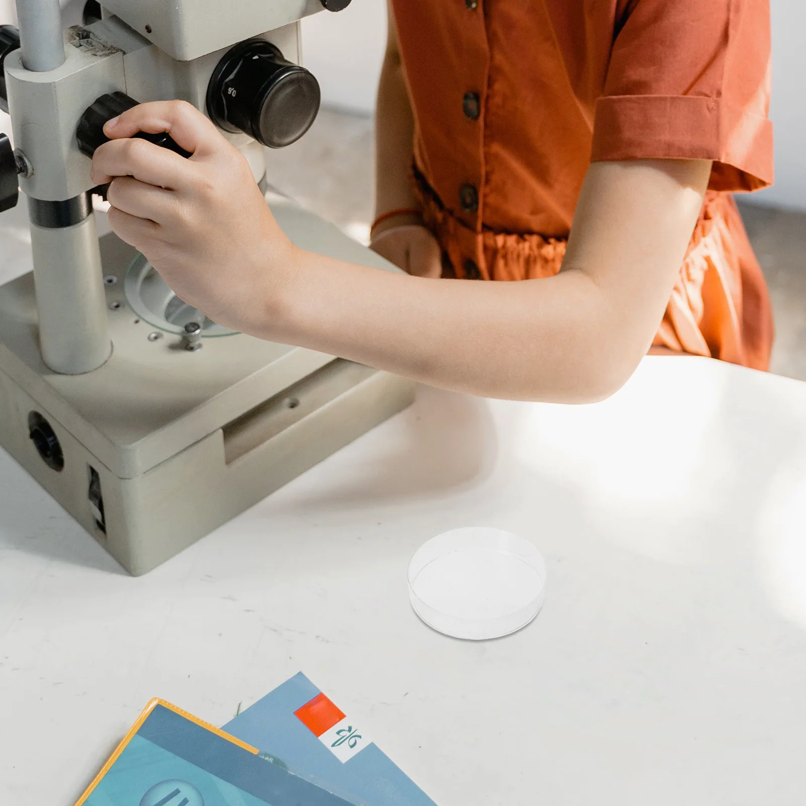 

50Pcs Cell Culture Dishes 70Mm High Transparency Pre-Poured Nutrient Agar Plates for Laboratory Science Projects Mushroom