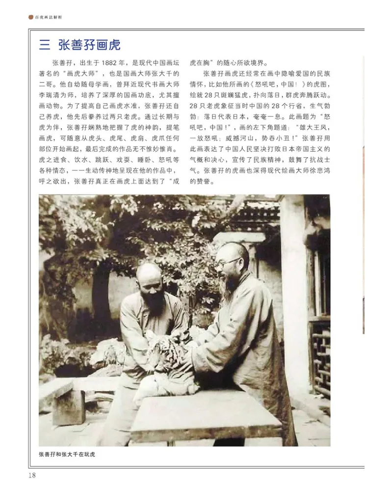 Book-Winshare Analysis Of the Hundred Tiger Painting Technique