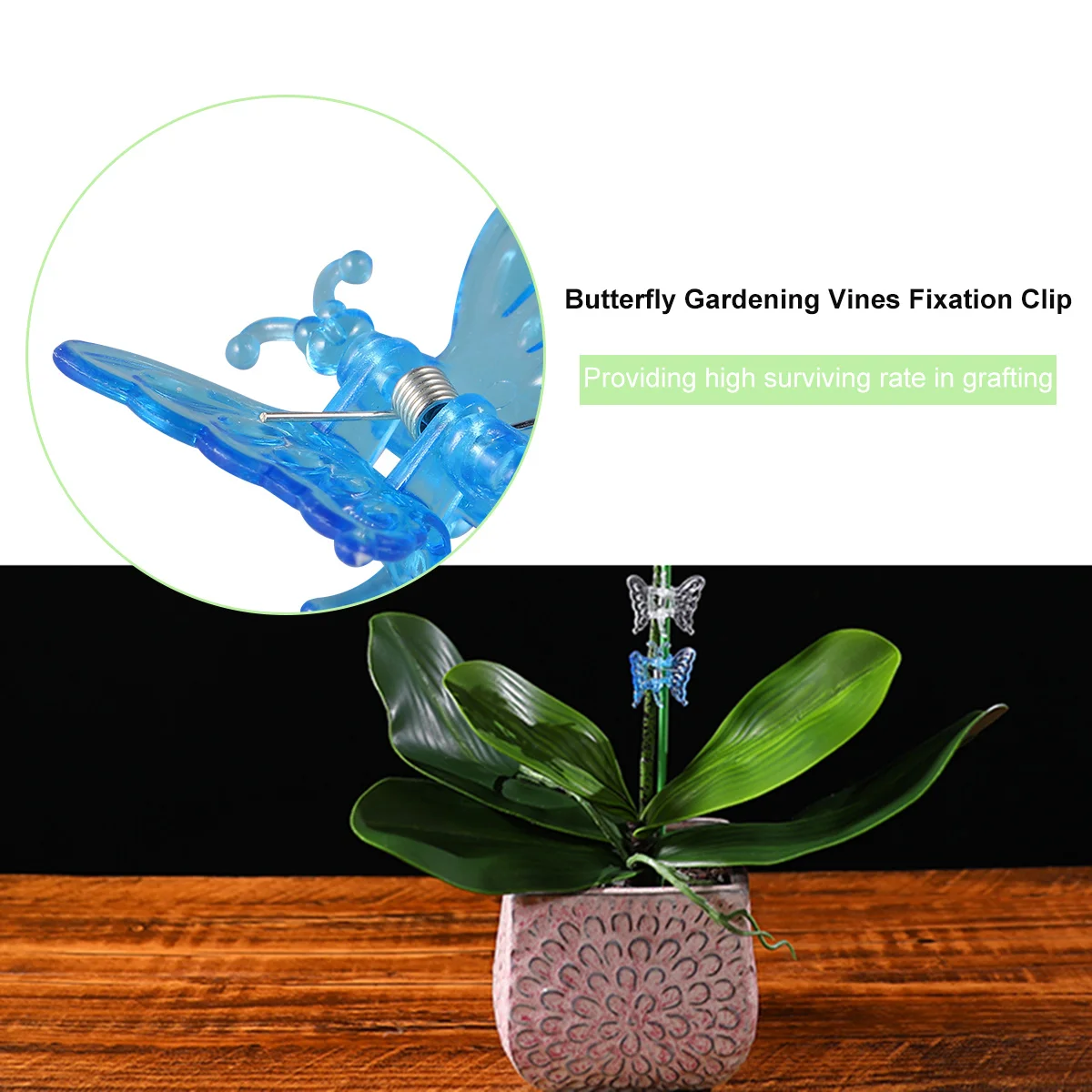 30 Uds. Clips de orquídeas confiables que sujetan tallos sin daños, abrazaderas fijas de vid de flores de jardín, herramienta de jardinería, Clips de orquídeas