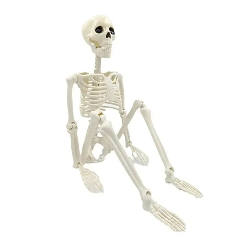 2026 Latest Models High-Quality Skeleton Model Decoration Fake Sculpture for Home Garden Haunted House Decorative Horror Theme