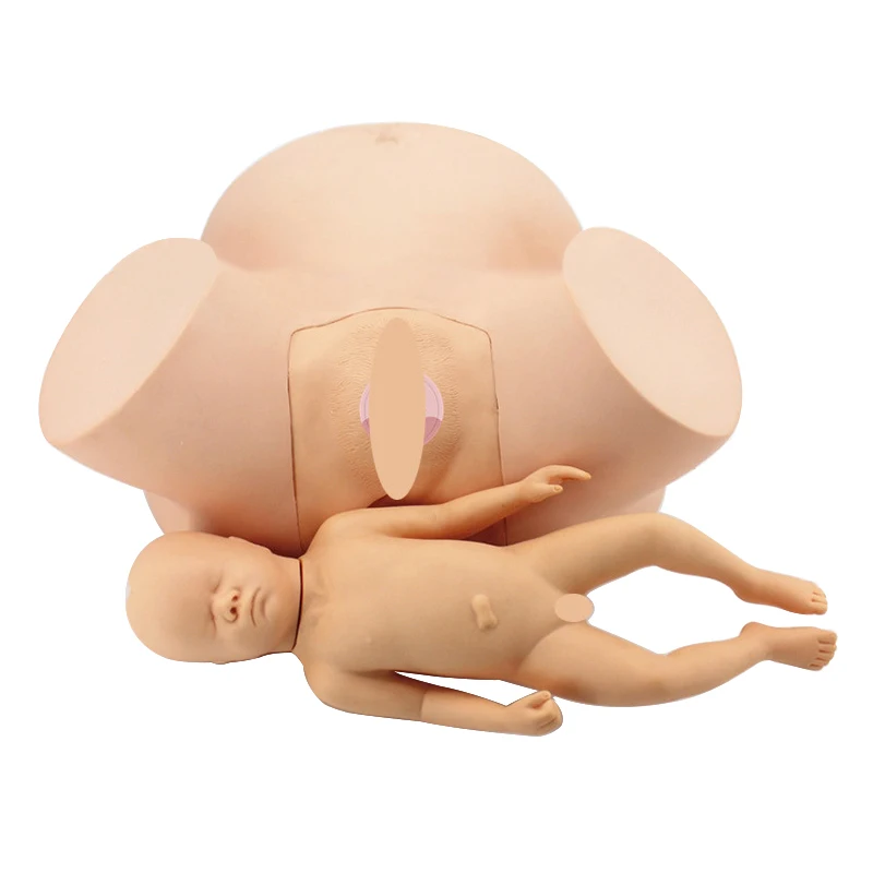 Advanced Midwifery Training Model Anatomy Childbirth Simulator Manikin for Teaching Learning Display Tool