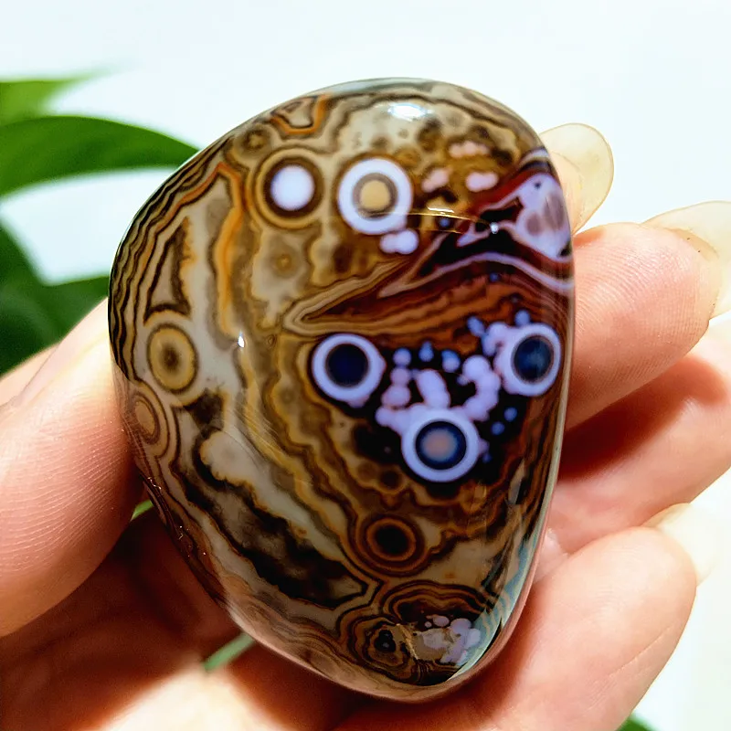 AAA  Natural Stones Lace Sardonyx Agate Palm Herat Stones Witchcraft Meditation Spiritual Healing Crystals Home Decoration