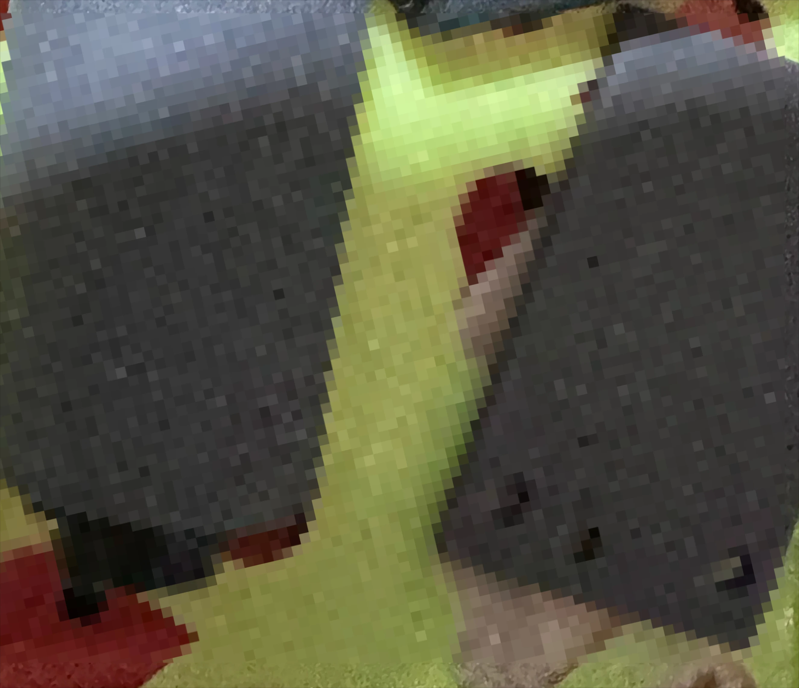 10X For Canon Mf 41…