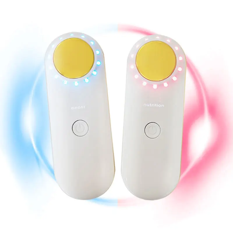 Beauty Personal Care Products 4-in-1 Facial Red Blue Light Therapy Skincare Wand Skin Care Tools Other Home Use Beauty Equipment