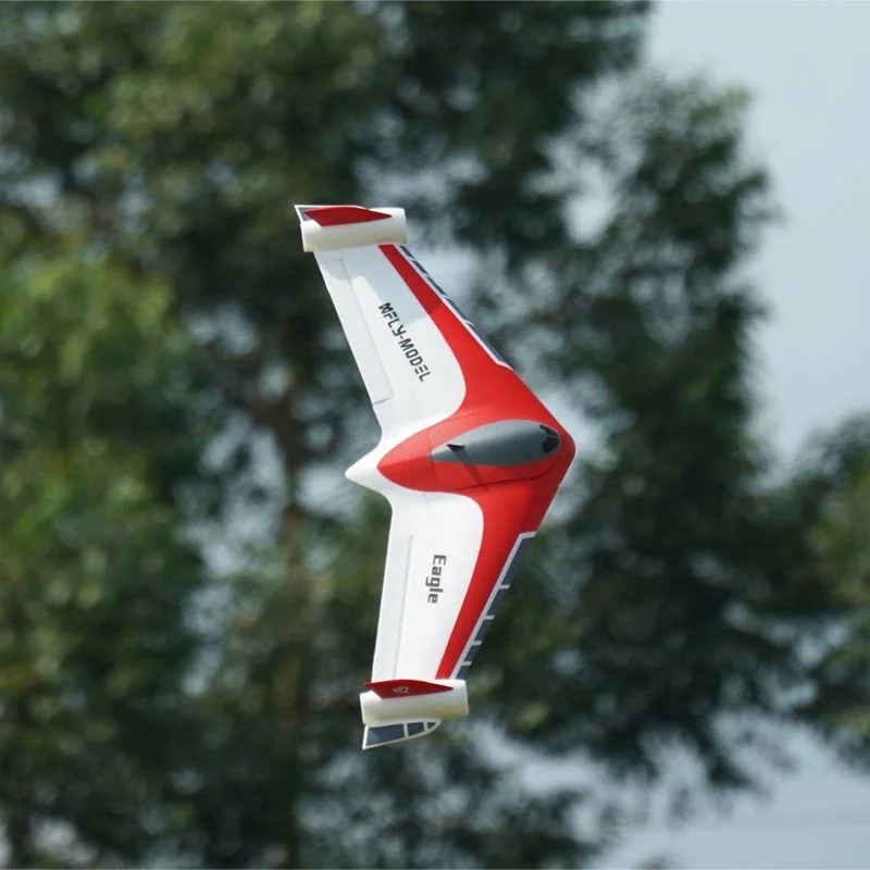 Xfly Model Eagle RC Flying Wing Aircraft Dual 40mm Ducted Fans Outdoor Remote Control Plane For RC Aviation Hobby Enthusiasts