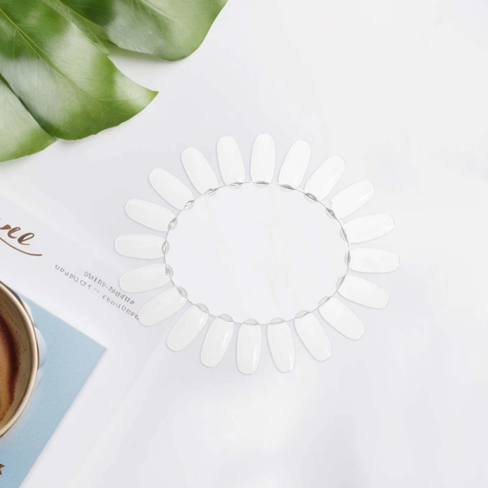 

20Pcs Nail Display Board Transparent Oval Plastic Sample Wheel Professional Nail Sample Wheel Manicure Color Display