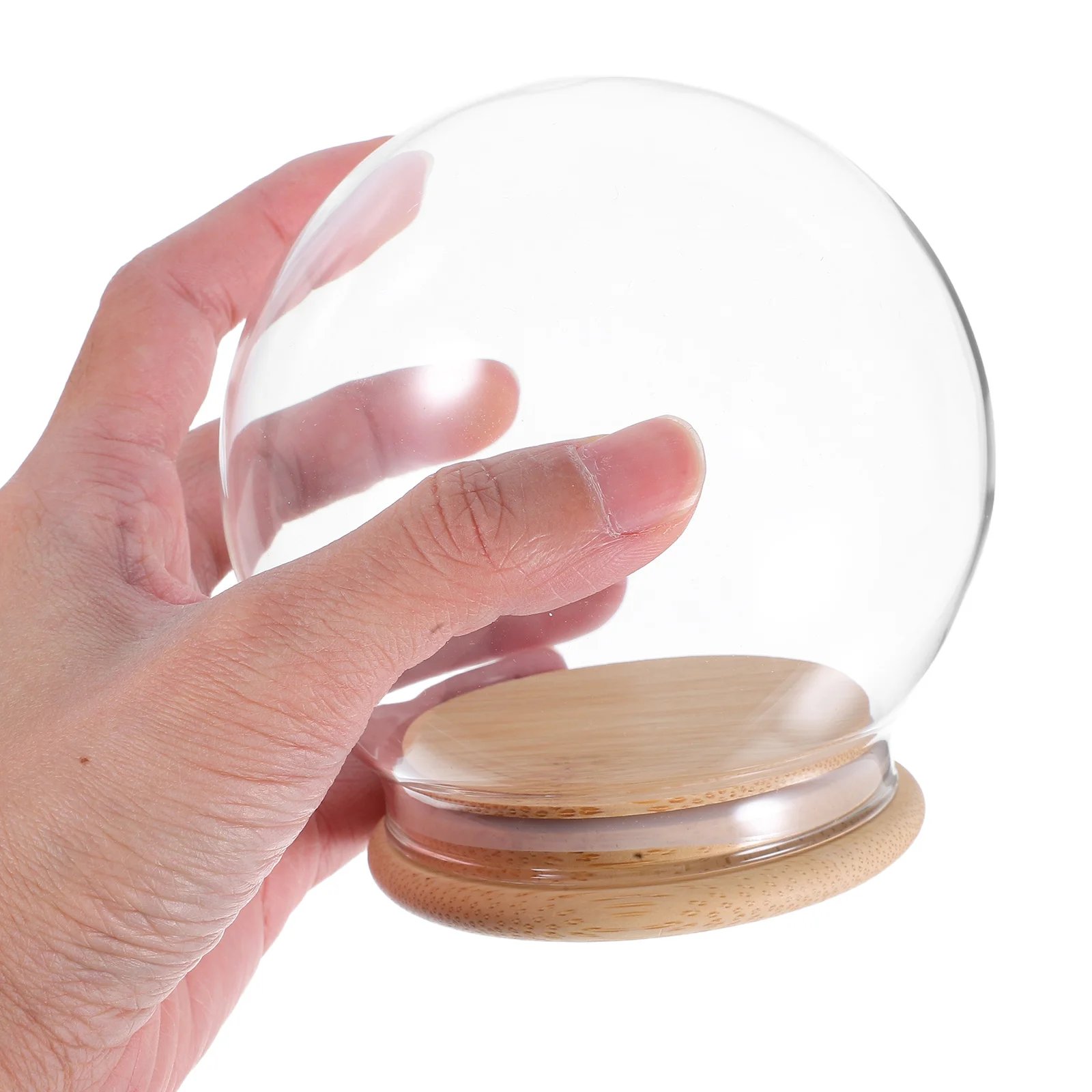 

Empty Snow Globes for Crafts Crystal Display Case Dome Wood Base Glass Cloche Eternal Flower Cover