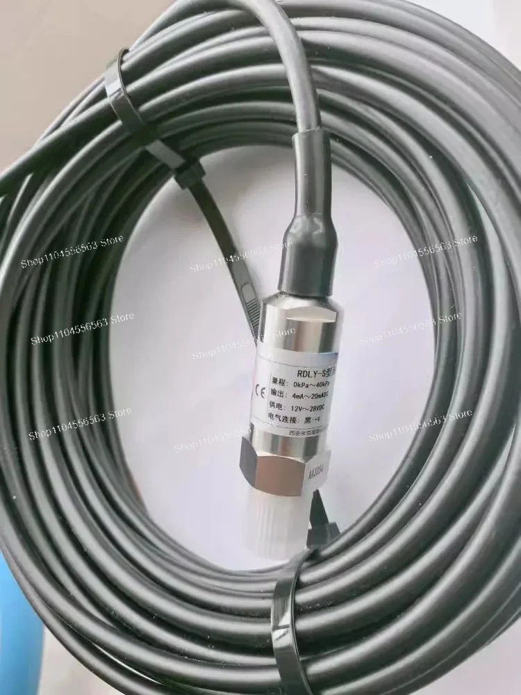 Marine-Grade Explosion-Proof & Waterproof Submersible Pressure Transmitter RDLY-S-2 for Shipboard Monitoring Systems