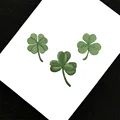 Color Random-5PCS