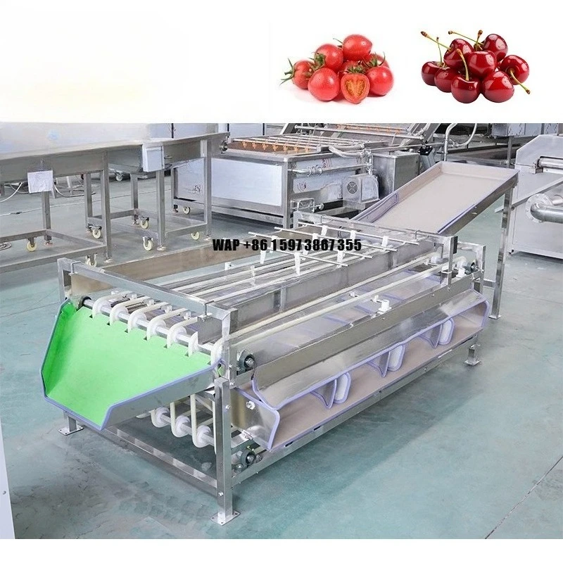 XINLONGJIA Automatic Fruit and Vegetable Sorting Machine Citrus Cherry and Orange Washing Line for Nuts and Saint Fruit