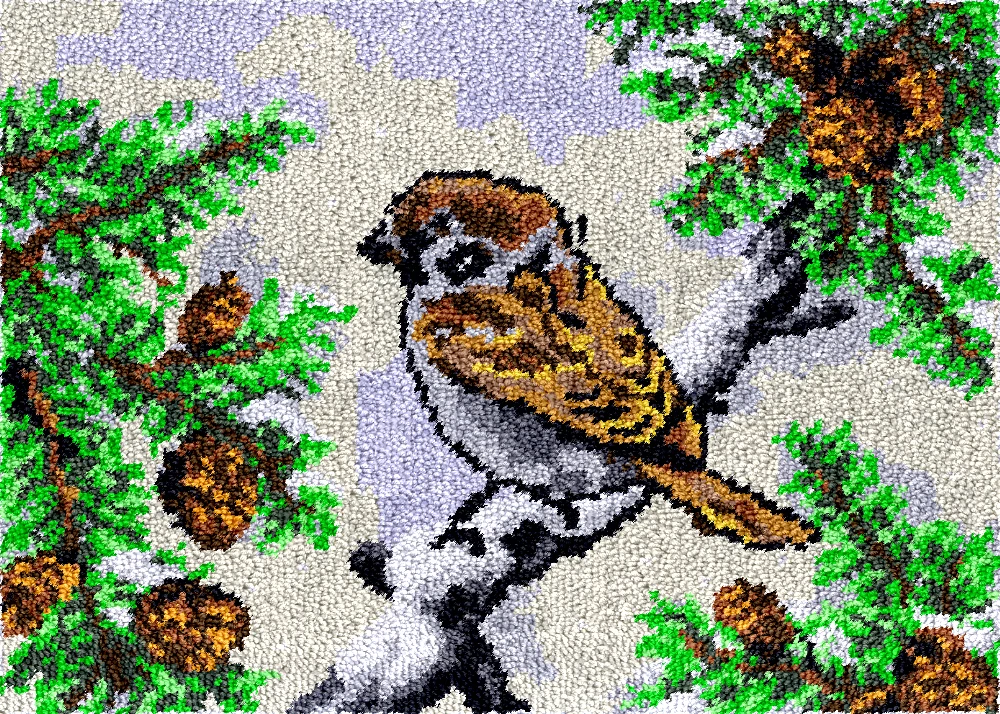 birds Smyrna latch hook kits carpet embroidery set plastic canvas Hobby rugs making Knit crafts accessories and materials offers