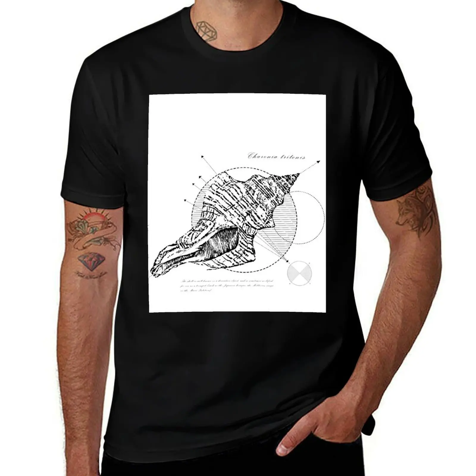 

Geometry of a Charonia tritonis T-Shirt black cotton t-shirt plain for man package man t shirt cotton high quality