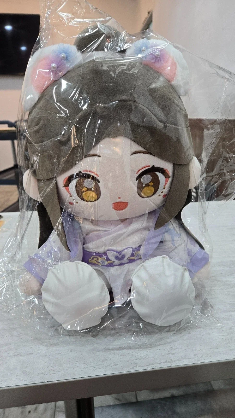 Official Goods Heaven Official's Blessing TGCF Tian Guan Ci Fu Xie Lian HuaCheng 35cm Dress Up Plush Doll Toy Stuffed Figure