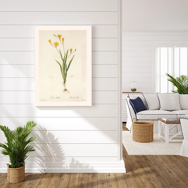 2026 Affiche, Peinture sur toile et Tableaux muraux Vintage Classique avec Illustration de plantes et fleurs 'Rhizome Knowledge', pour l'esthétique de la maison et de la chambre
