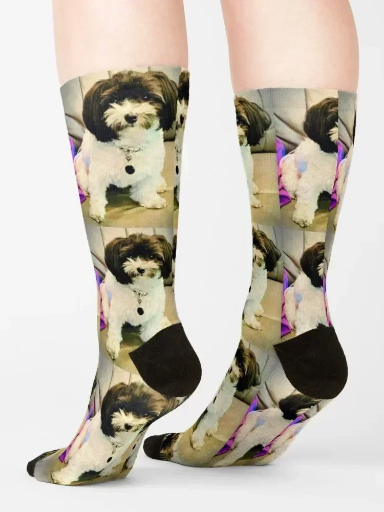 جوارب أوريو 2022 مضادة للانزلاق لكرة القدم والرياضة للعام الجديد لكرة السلة للفتيات للرجال