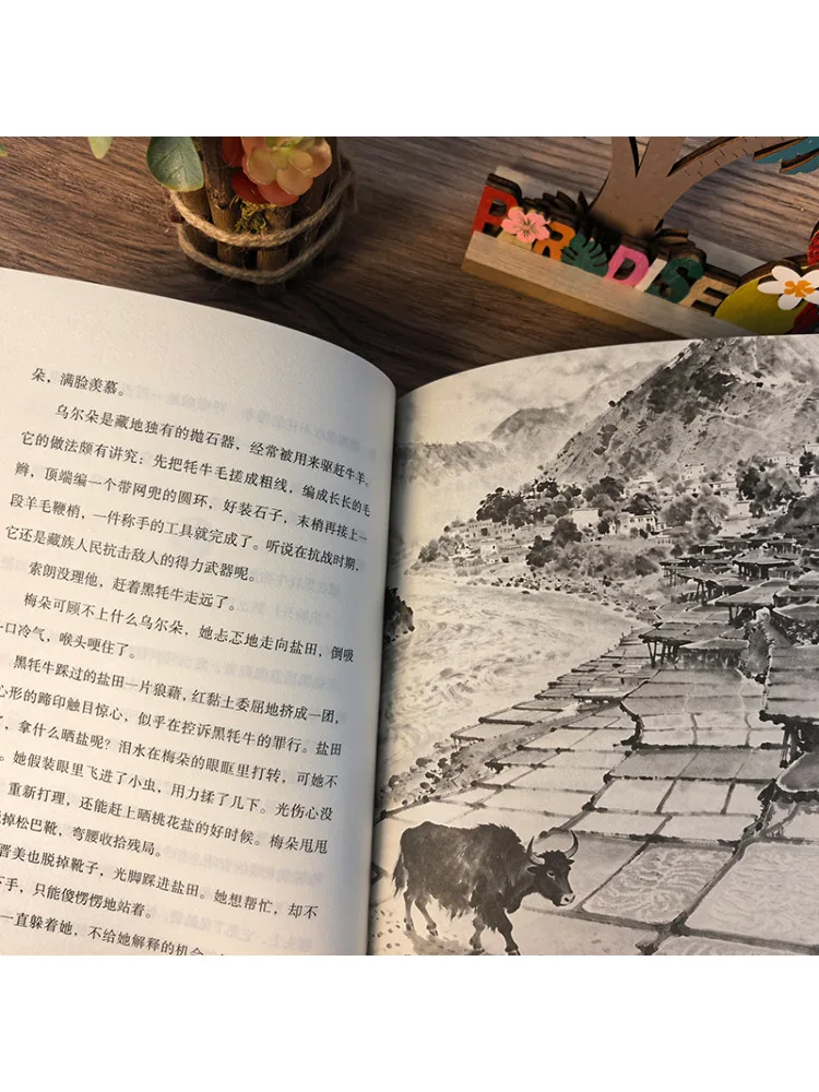 Book-Winshare Burning Peach Blossom Salt