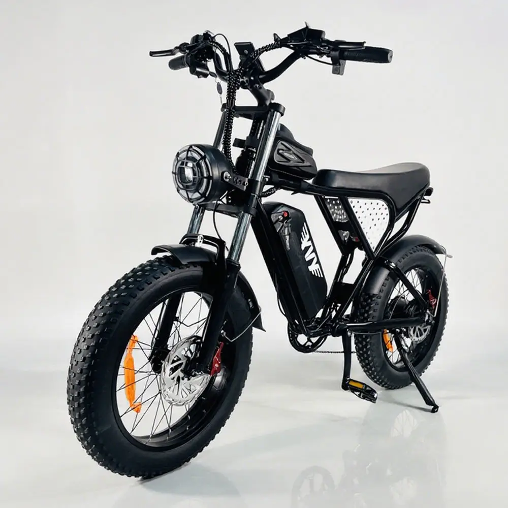 2000W Dual Motor Ridstar Q20 Pro Adult Electric Bike 52V40Ah Dual Battery 20-Inch Electric Bicycle All-Terrain Rideable E-Bike