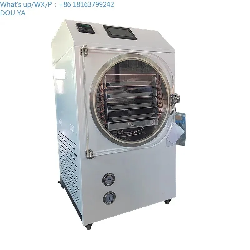 1Kg 2Kg 3Kg 4Kg 10LBS 소형 진공 건조기 미니 가정용 실험실 진공 식품 동결 건조기