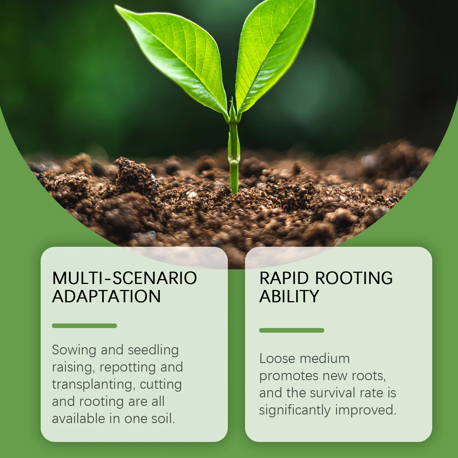 Lightweight Soil Amendment Plant Natural Breathable Garden Flower Soil for Seeding Seedling Transplanting ​promote Root Growth