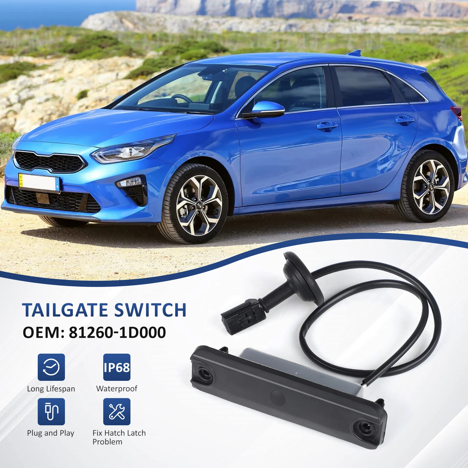 Tailgate Outer Hand…