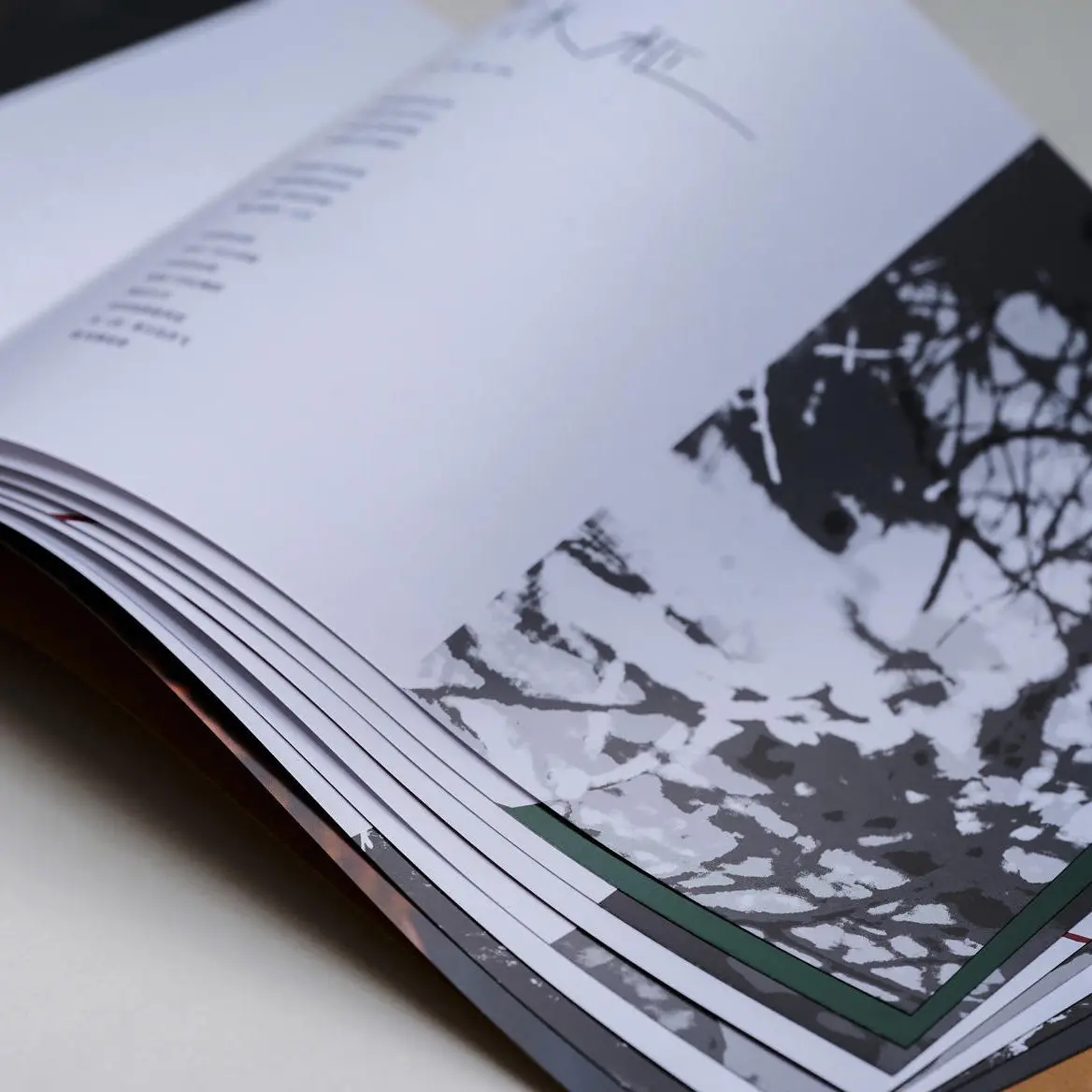 VAE Xu Song “Breath of The Wild” Official Deluxe Album Set | CD + Photobook + Postcards + Poster (Chinese Edition)