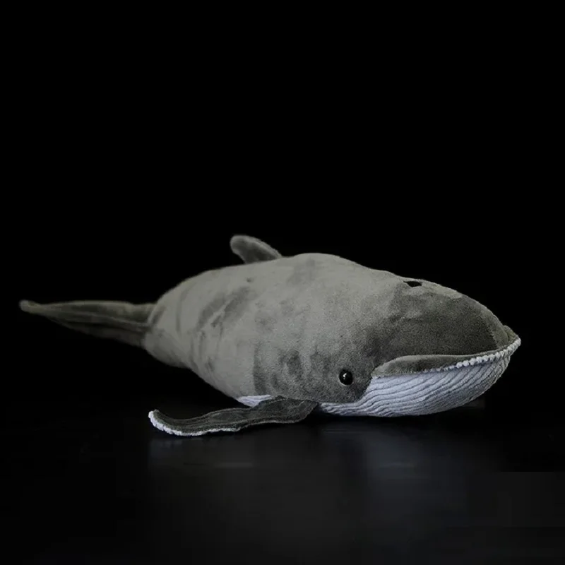 Cute Plush Toy Lovely Sea Animal Whalebone Whale Killer Whale Shark Manta Ray Soft Doll Birthday Gift 1pc