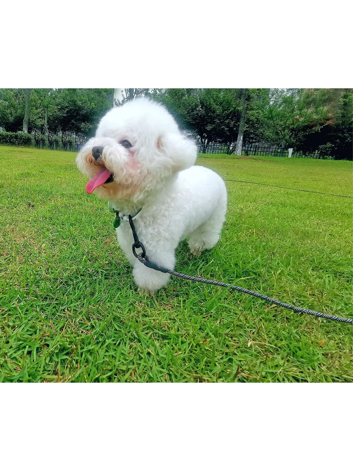 Long Dog Training Lead With Padded Handle For Walking And Training_voghion.com