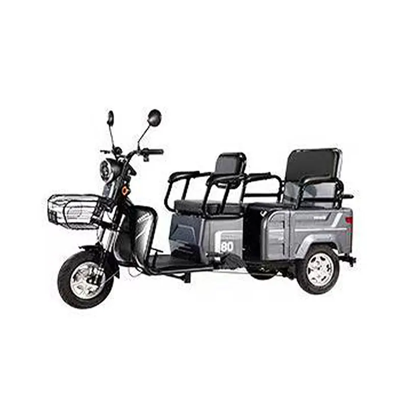 

Adult city tricycle 48V 20Ah 600W city three-wheeled electric
