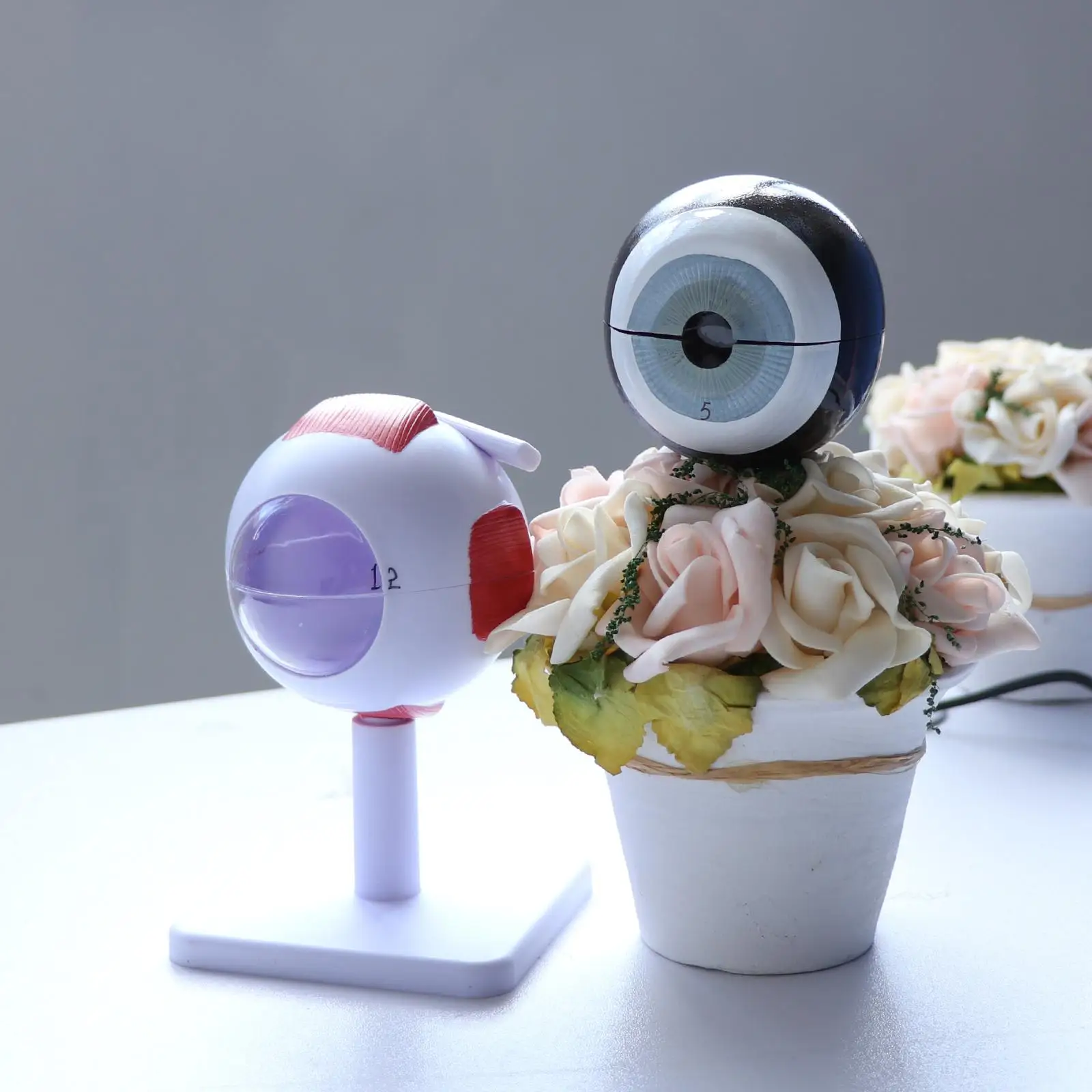 Ingrandimento 3X Kit modello occhio umano |