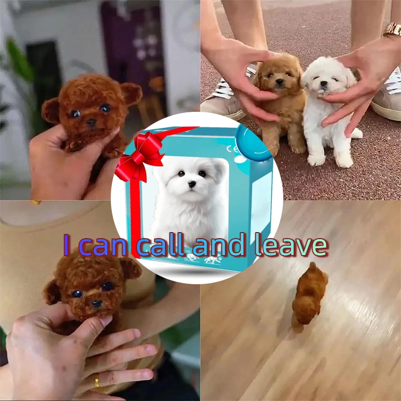 Realistic Toy Dog Kid Plush Electric Toy Can Call Intelligent Pet Dog Robot Short Haired Puppy Doll Emotion Heal Birthday Gift