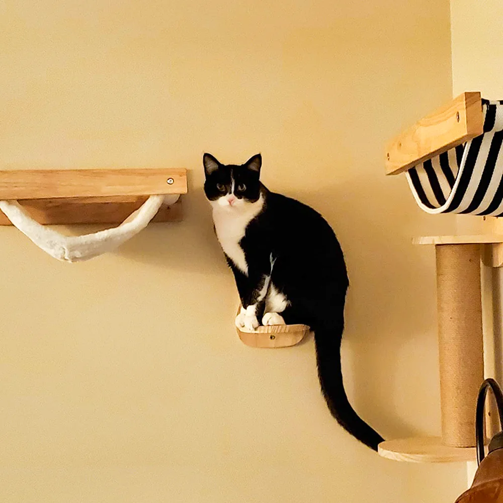 

Cat Hammock Climbing Shelf Set Wall Mounted Furniture Wooden Perch Sisal Ladder Scratching Post Beds Perches Stable For Kitty