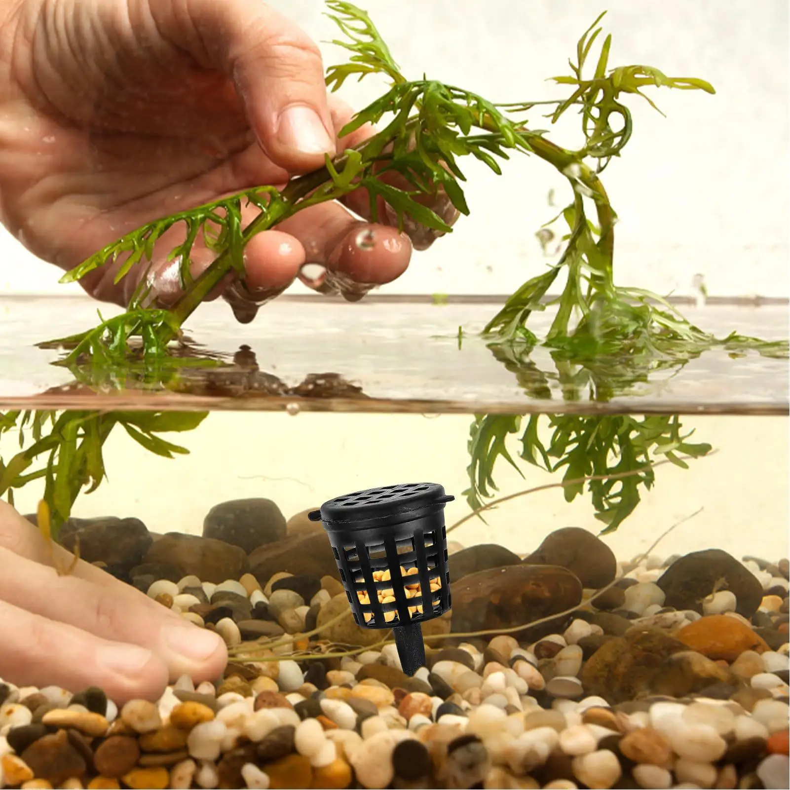 Orchid Fertilizer Holder Nutrient Release Basket Inserts 50 Pieces Bonsai Feeder For Animal Prevention Nutrient Root Health